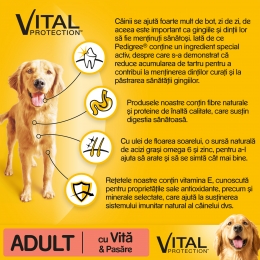 Hrană uscată pentru câini adulți, 2.6kg, Vital Protection cu vită și pasăre 