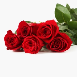 Buchet trandafiri, 5 fire, diverse culori