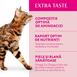 Hrană uscată pentru pisici adulte 700g, cu conținut ridicat de vită