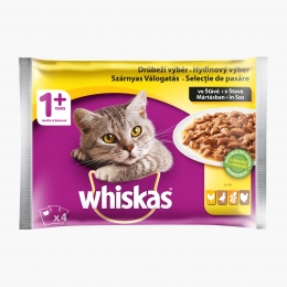 Hrană umedă pentru pisici adulte, 4x100g, selecție de pasăre