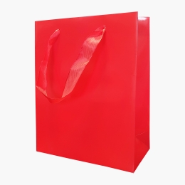Pungă cadou plastifiată M, 17.5x23x10cm