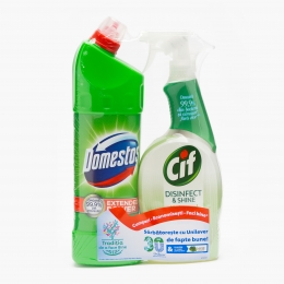 Pachet dezinfectant Pine 1l + Spray Power & Shine 750ml