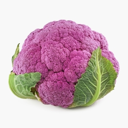 Conopidă violet, min 600g