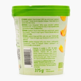Sorbet de mango eco 375g