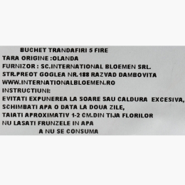 Buchet trandafiri, 5 fire, diverse culori