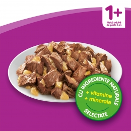 Hrană umedă pentru pisici adulte, 85g, cu vită în aspic