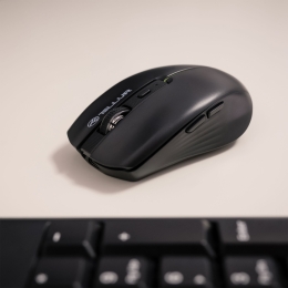 Mouse wireless Silent Click, negru