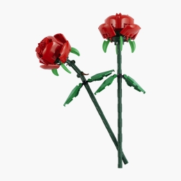 Trandafiri, 40460 Botanicals, 120 piese, +8 ani
