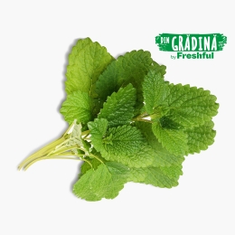 Roiniță eco 50g