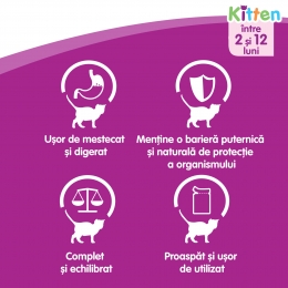 Hrană umedă pentru pisici junior, 100g, cu carne de pasăre în sos