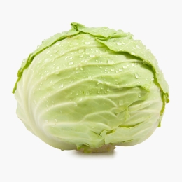 Varză albă soi Bucharest România 1 buc