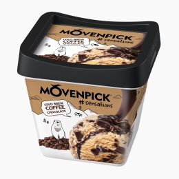 Îngheţată cu cafea cu sirop de ciocolată şi bucăţi de ciocolată 314g