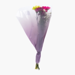 Buchet mix Cerise/Green, 5 fire