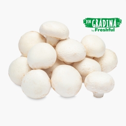 Ciuperci champignon România 1kg