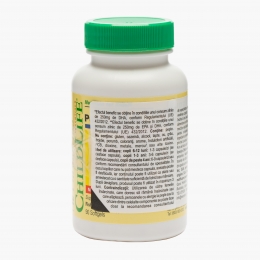 Pure DHA - 90 capsule 