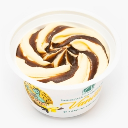 Înghețată vanilie 100g