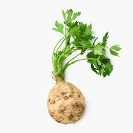 Țelină rădăcină cu frunze eco România, 1 buc