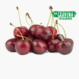 Cireșe eco România 500g