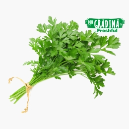 Pătrunjel verde eco, România 30g