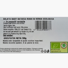 Salată baby batavia roșie și verde ecologică 100g