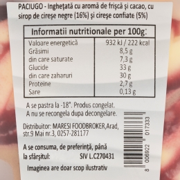 Înghețată Panna Cioccolata cu sirop de cireșe 500g
