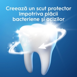 Pastă de dinți Pro-Expert Gentle Whitening cu aromă de mentă verde 75 ml