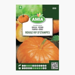 Semințe dovleac Rouge Vif D'etampes