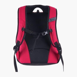 Ghiozdan Pulse Element Imperial Red