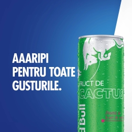 Băutură energizantă fructe de cactus 0.25l