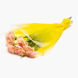 Buchet mixt cu 5 garoafe