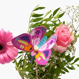Buchet mixt Butterfly 5 fire