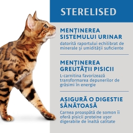 Hrană umedă pentru pisici adulte 85g, somon și afine în jeleu