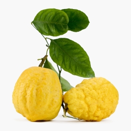 Cedri 400g