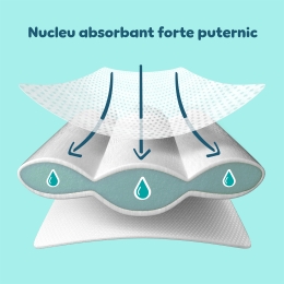 Scutece Premium Care Value Pack, mărimea 5, 11-16kg, 44 buc