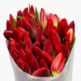 Mândră în toate cele • Buchet lalele roșii, 50 fire