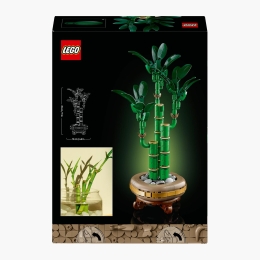 Bambus Norocos, 10344 Botanicals, 325 piese, +18 ani