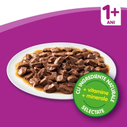 Hrană umedă pentru pisici adulte, 80 x 100g, Selecții clasice în sos cu pui, vită, miel și pasăre