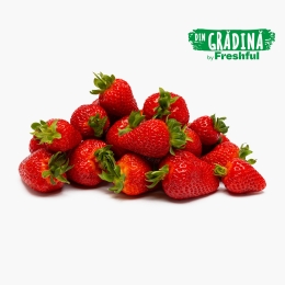 Căpșune Gruberries România 500g