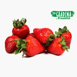 Căpșune România 500g
