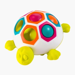 Broască țestoasă cu forme 10,+ luni