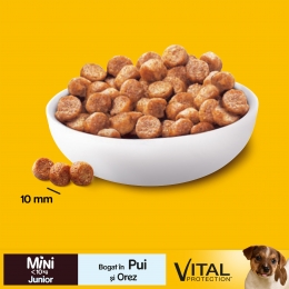 Hrană uscată pentru câini juniori de talie mică, 400g, cu pui și orez Vital Protection