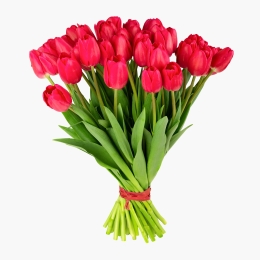 Buchet lalele roșii 49 fire