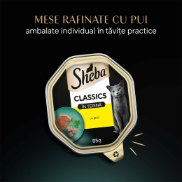 Hrană umedă pentru pisici adulte, terină cu pui Classics, 85g
