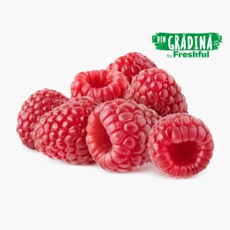 Zmeură România 125g