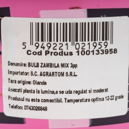 Mix bulb Zambilă