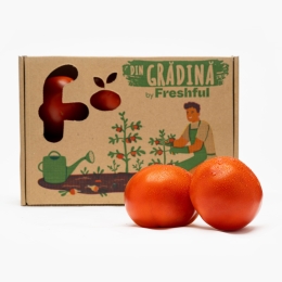 Roșii zadurella România (Băleni) 1.5kg