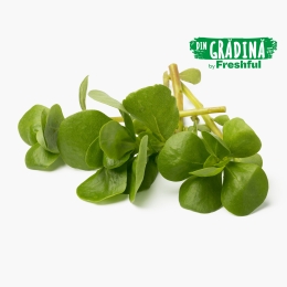 Iarbă grasă eco 100g Bioferma Niculești